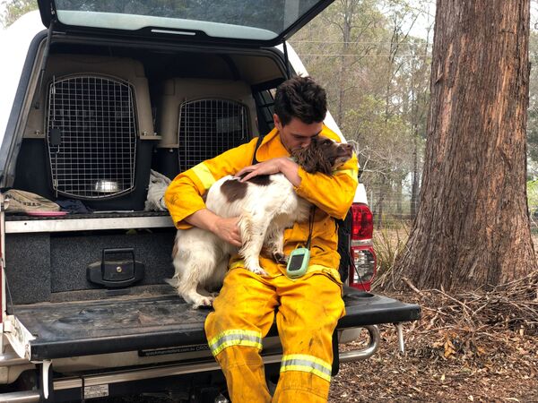 Тренер Ryan Tate со своей собакой Тейлором, которая  помогает отыскивать коал, пострадавших в лесных пожарах в Австралии - Sputnik Южная Осетия