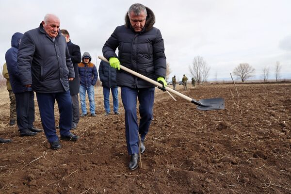 Президент Анатолий Бибилов посетил сады фундука в селе Аунеу - Sputnik Южная Осетия