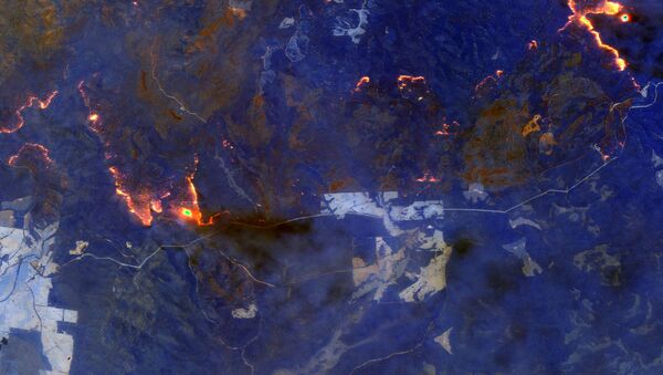 Спутниковое изображение пожаров в Австралии - Sputnik Южная Осетия