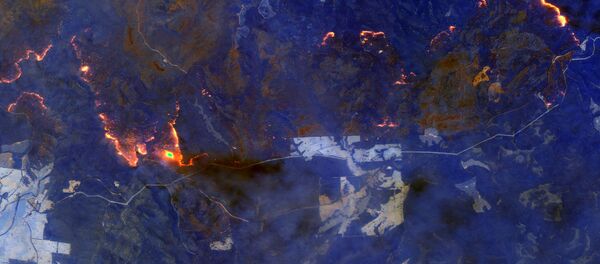 Спутниковое изображение пожаров в Австралии Спутниковое изображение пожаров в Австралии - Sputnik Южная Осетия
